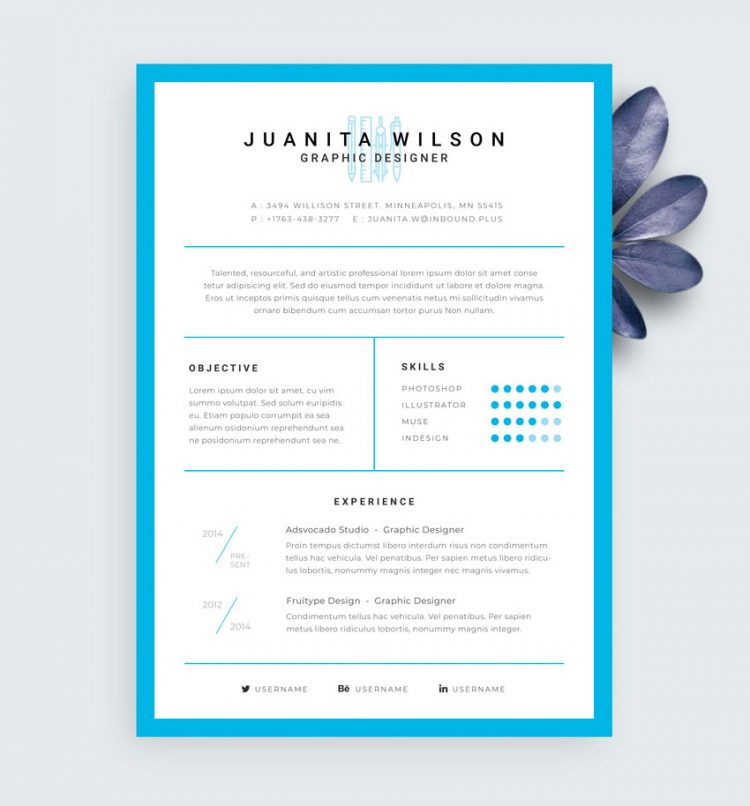 resume template free download
