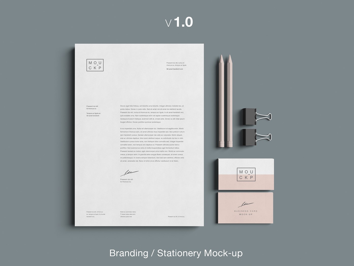 Branding Free Mock Up Psd